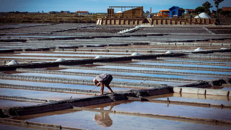 Foto da atividade Salinas de Aveiro