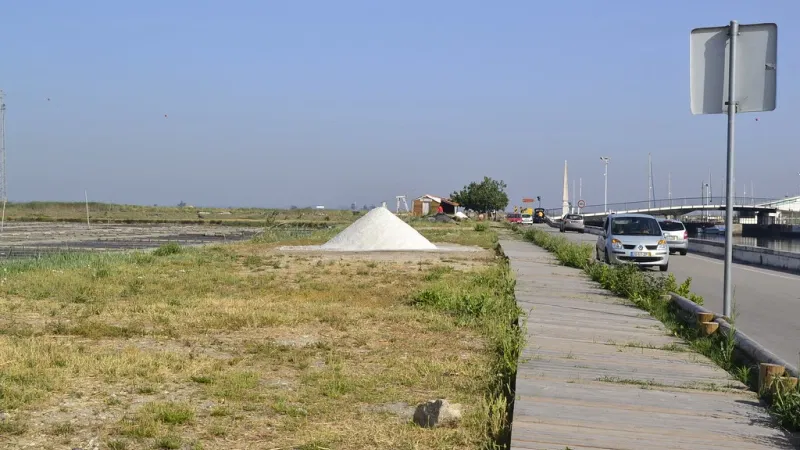 Foto da atividade Salinas de Aveiro