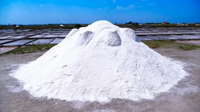 Foto da atividade Salinas de Aveiro