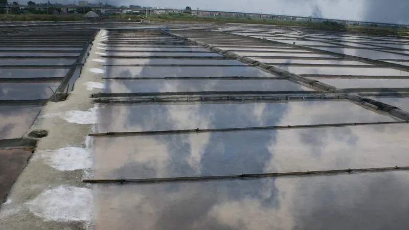 Foto da atividade Salinas de Aveiro