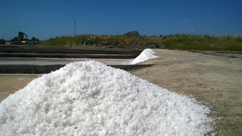 Salinas de Aveiro – photo 6