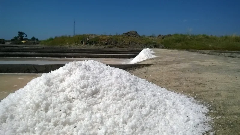 Salinas de Aveiro – photo 7