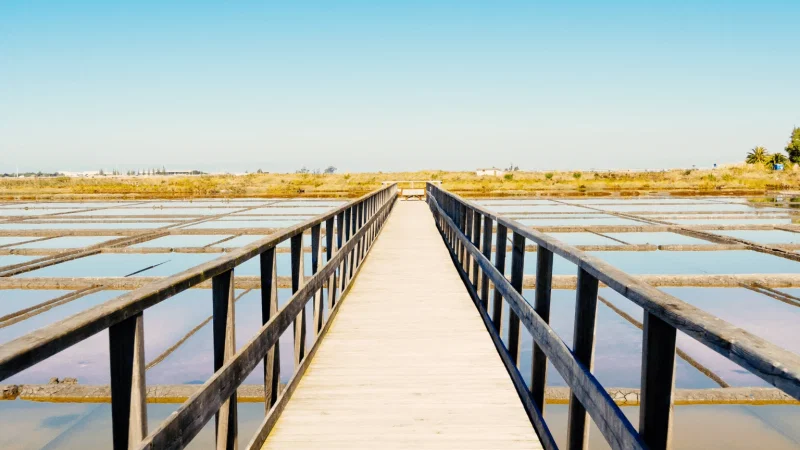 Salinas de Aveiro – photo 8