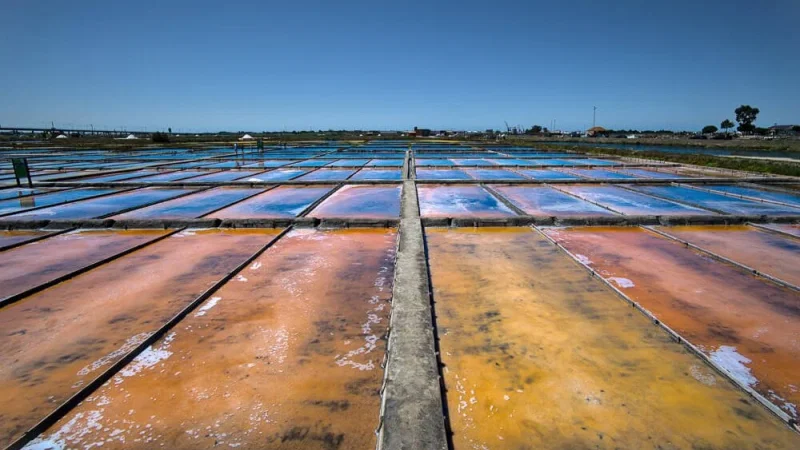Salinas de Aveiro – photo 9