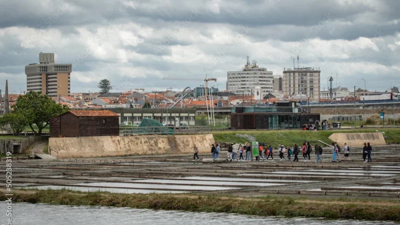Salinas de Aveiro – photo 4