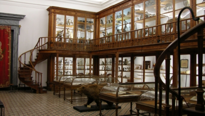 Museu da Ciência da Universidade de Coimbra