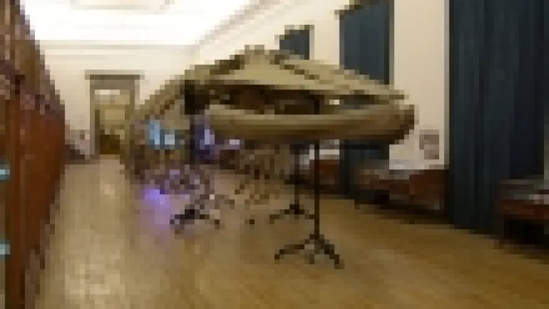 Foto da atividade Museu da Ciência da Universidade de Coimbra