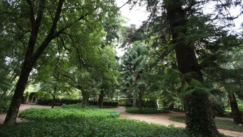 Foto da atividade Jardins da Quinta das Lágrimas