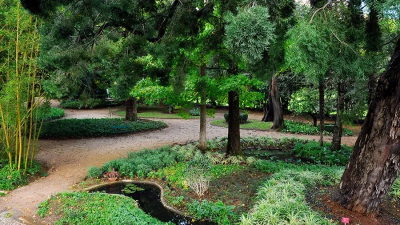 Foto da atividade Jardins da Quinta das Lágrimas