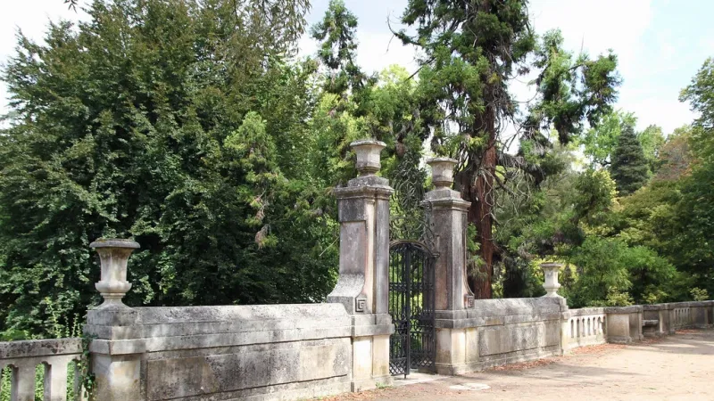 Foto da atividade Jardim Botânico da Universidade de Coimbra