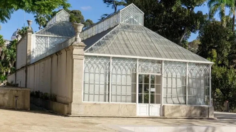 Foto da atividade Jardim Botânico da Universidade de Coimbra