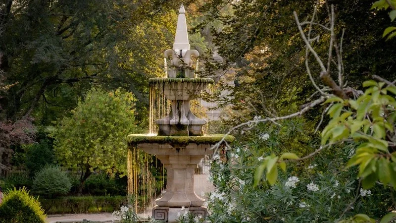 Jardim Botânico da Universidade de Coimbra – photo 8