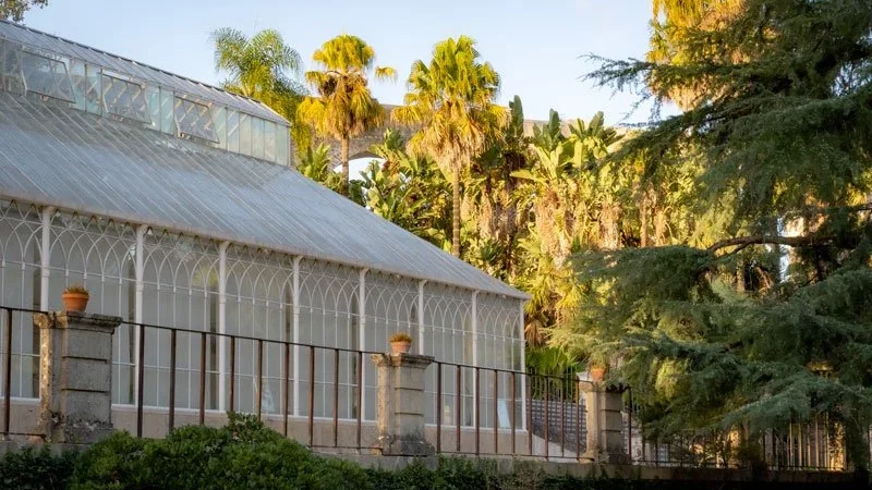 Jardim Botânico da Universidade de Coimbra – photo 9