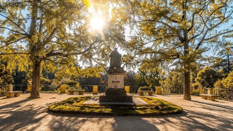 Jardim Botânico da Universidade de Coimbra – photo 3