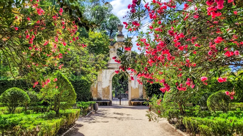 Jardim Botânico da Universidade de Coimbra – photo 5