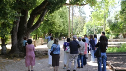 Jardim Botânico da Universidade de Coimbra