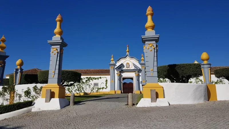 Jardim Oriental Bacalhôa Buddha Eden – photo 8