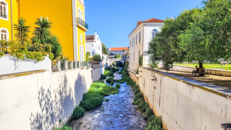 Jardim do Amor – photo 4