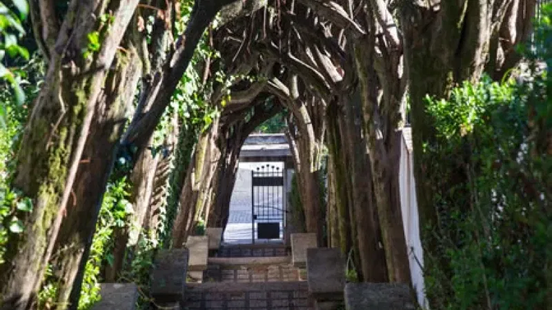 Foto da atividade Miradouro de São Gens