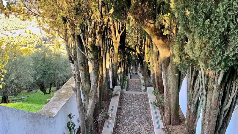Miradouro de São Gens – photo 4