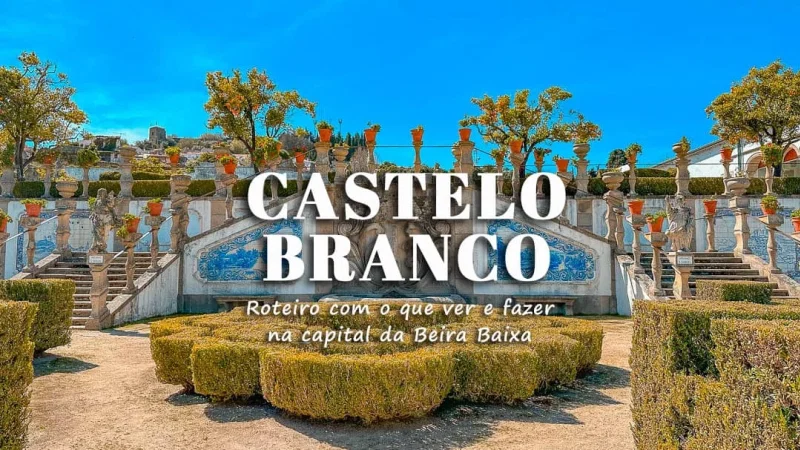 Castelo de Castelo Branco – photo 2