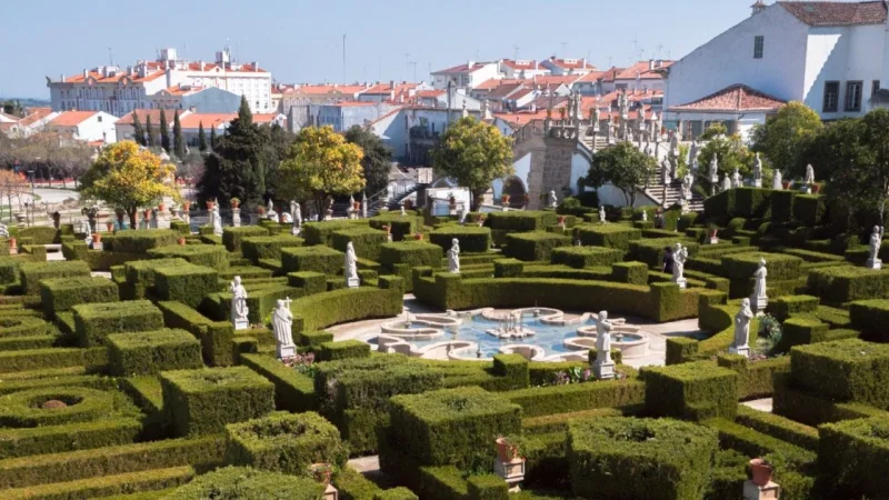 Castelo de Castelo Branco – photo 5