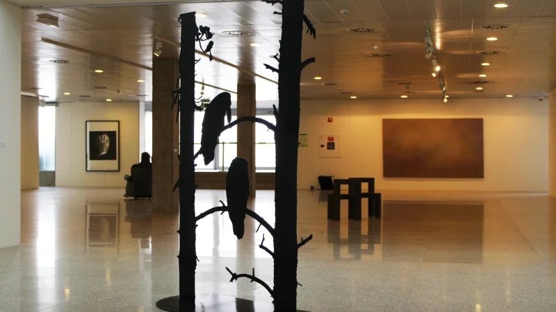 Centro de Cultura Contemporânea de Castelo Branco – photo 9