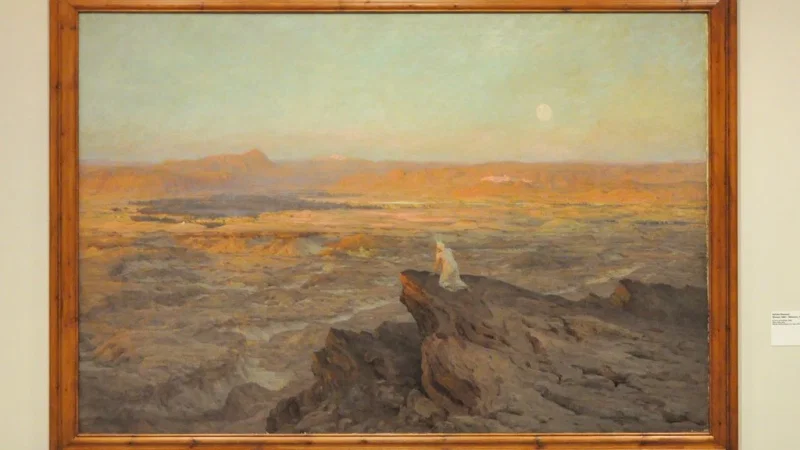 Museu Nacional de Arte Contemporânea – photo 6