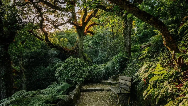 Foto do Ponto de Interesse Parque e Palácio de Monserrate