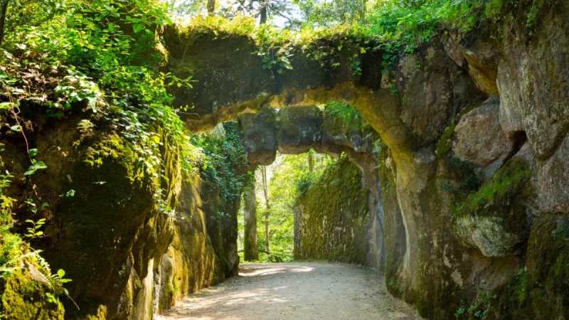 Cruz Alta – photo 10