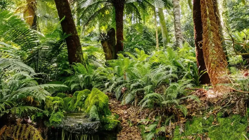 Foto do Ponto de Interesse Palácio Nacional da Pena