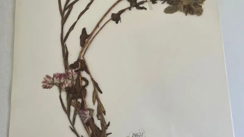 Foto do Ponto de Interesse Museu Nacional de História Natural e Ciência