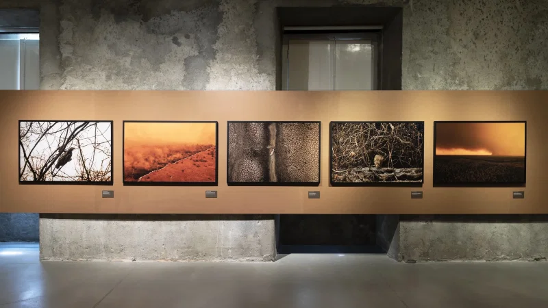 Museu Nacional de História Natural e Ciência – photo 2