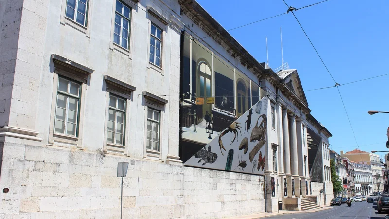 Museu Nacional de História Natural e Ciência – photo 4