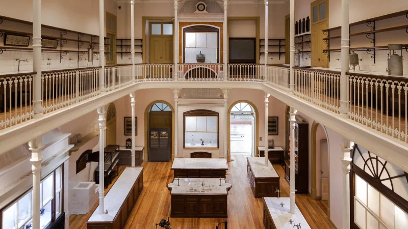 Museu Nacional de História Natural e Ciência – photo 6
