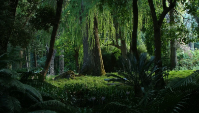 Jardim Botânico de Lisboa