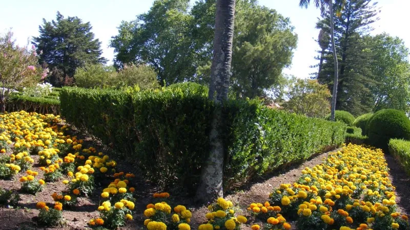 Foto do Ponto de Interesse Jardim Botânico de Lisboa
