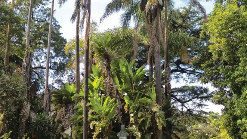 Jardim Botânico de Lisboa – photo 10