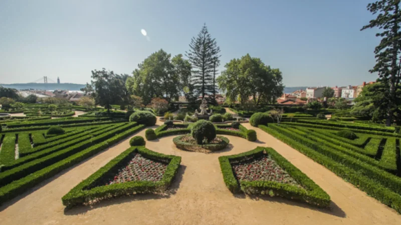 Jardim Botânico de Lisboa – photo 3