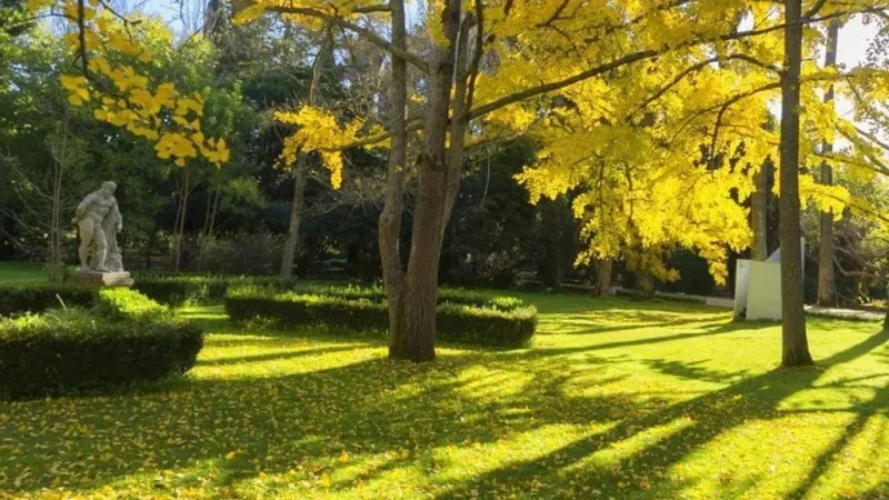 Jardim Botânico de Lisboa – photo 4
