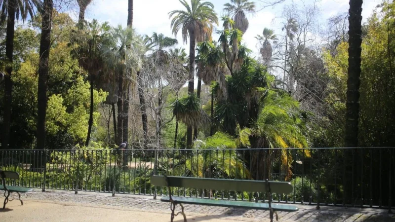 Jardim Botânico de Lisboa – photo 5
