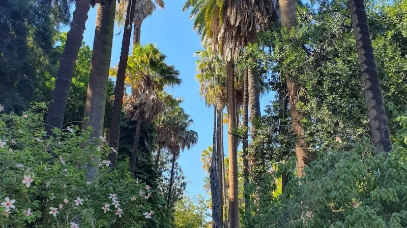 Jardim Botânico de Lisboa – photo 8
