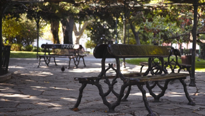 Jardim do Príncipe Real