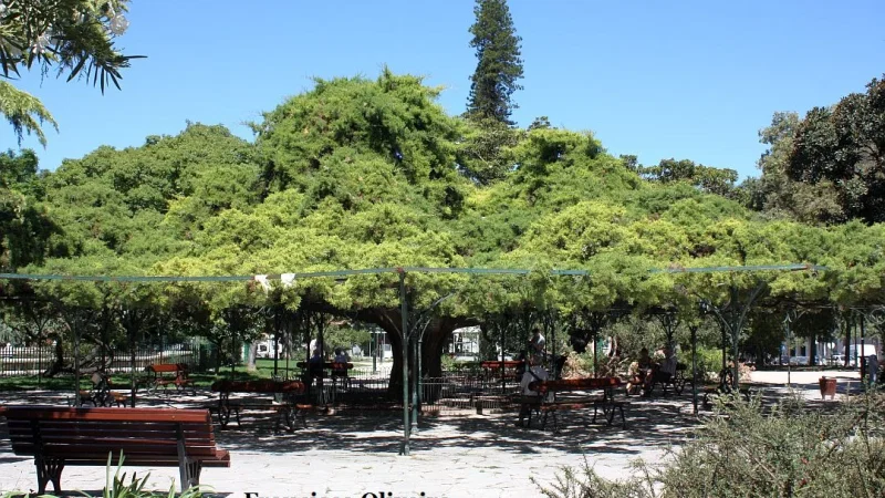 Jardim do Príncipe Real – photo 5
