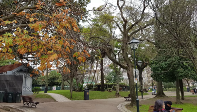 Jardim do Príncipe Real
