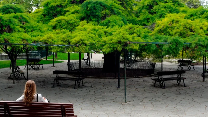 Jardim do Príncipe Real – photo 3