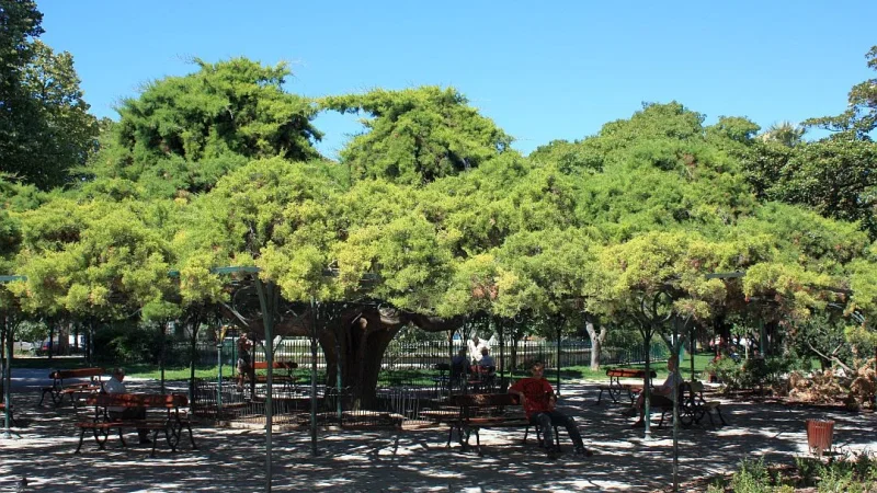 Jardim do Príncipe Real – photo 4