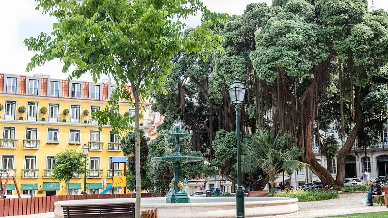 Foto do Ponto de Interesse Praça da Alegria