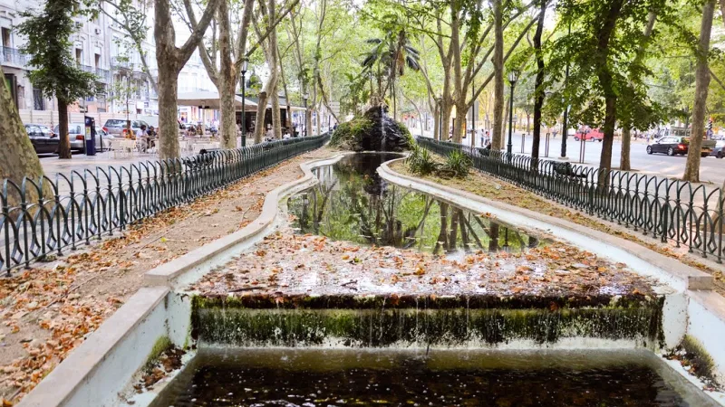 Foto da atividade Avenida da Liberdade