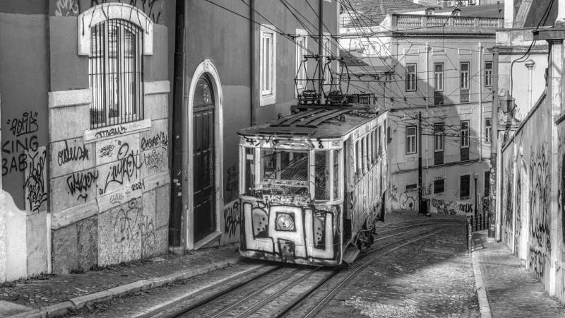 Calçada da Glória Outdoor Art Gallery – photo 3